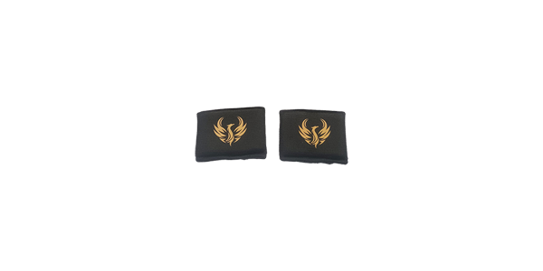 Gel protection phalanges